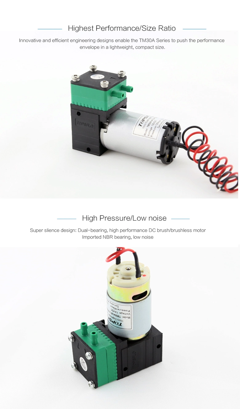 High Performance 6V 12V or 24V Air Pump (DC Brush motor)