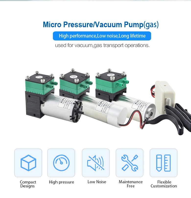 High Performance 6V 12V or 24V Air Pump (DC Brush motor)