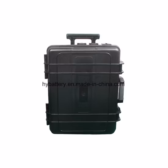 Wave 価格調整 S ポータブル充電式エネルギー貯蔵電源 12.8V 100Ah 1200Wh